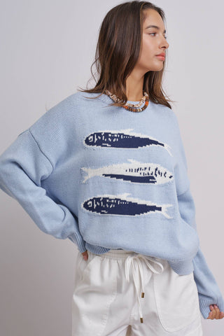 Oversized Sardine Knit Sweater